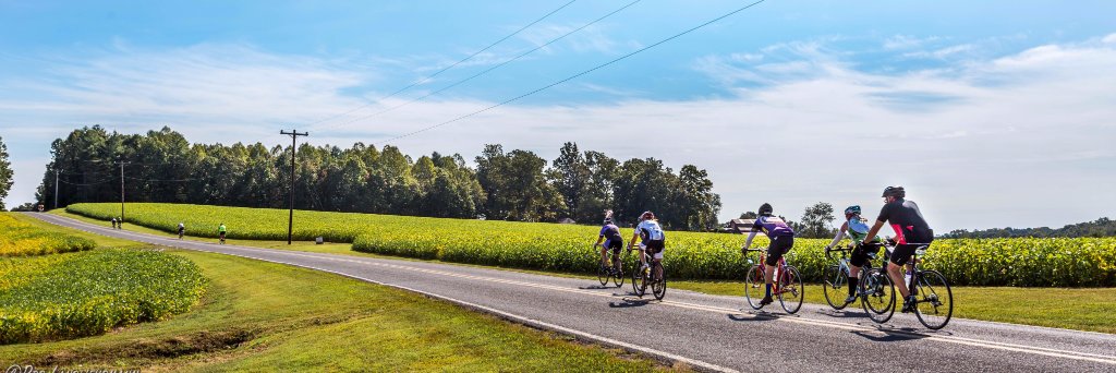 Cycle North Carolina banner