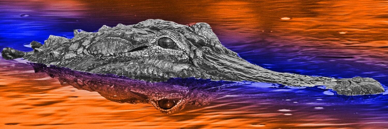 GatorsSRH's profile banner image