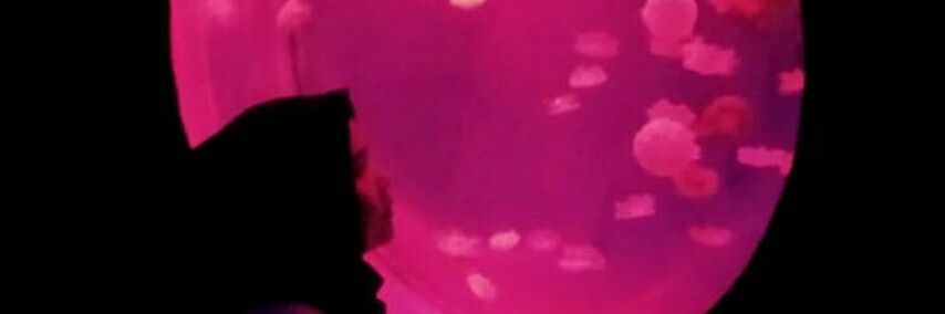sadwinagf's profile banner image