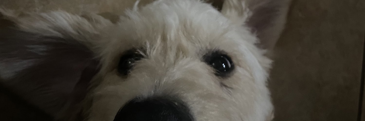 vaneegroo's profile banner image