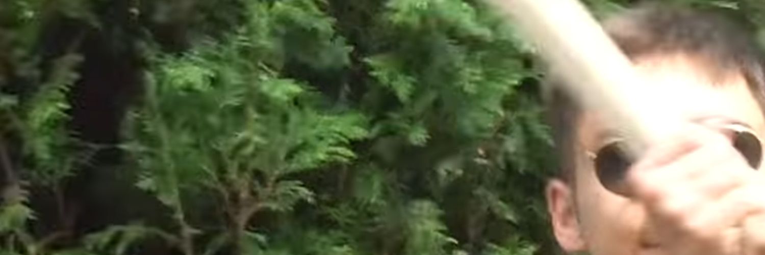 Revolutionary Defeatism Expert banner