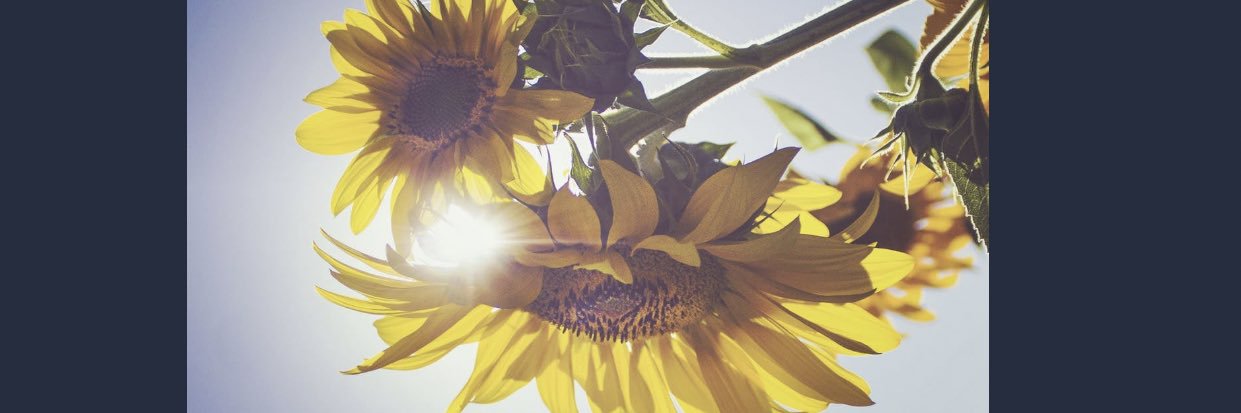 mayasummerrrrr's profile banner image