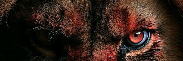 jackson_barker_ Profile Banner