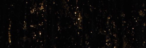 zoe_gobble's profile banner image
