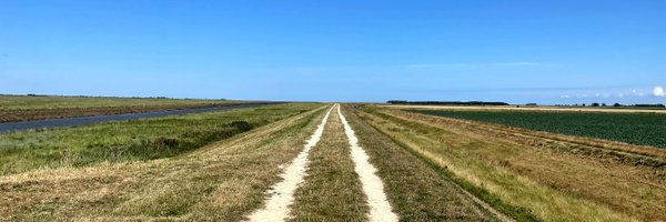 davebriggs Profile Banner