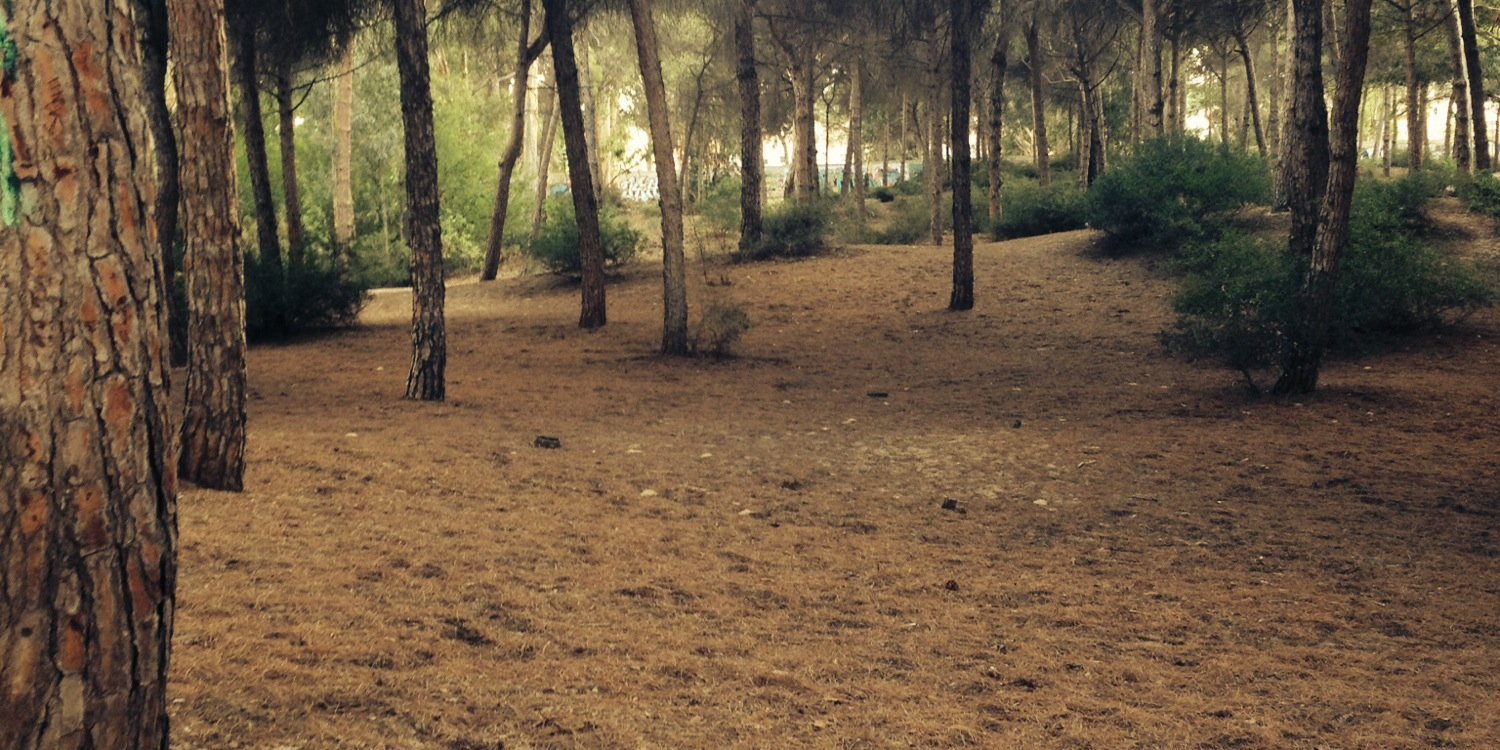 KeepSmilingACD's profile banner image