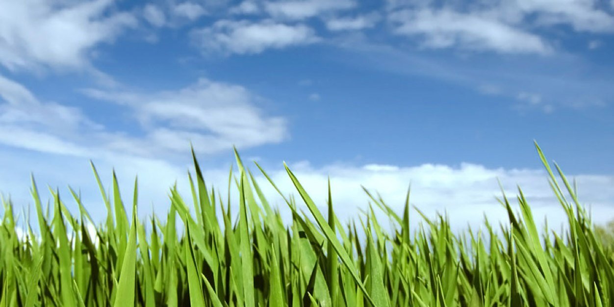 romerguerbo2012's profile banner image