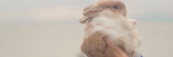 8K_Skye Profile Banner