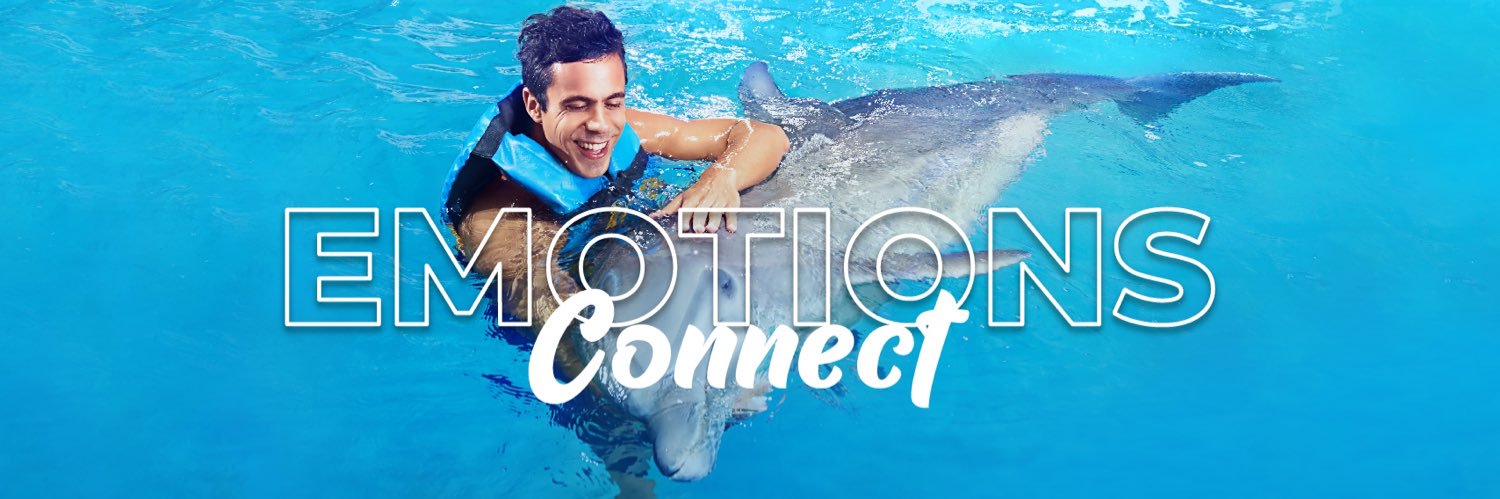 Dolphin Discovery banner