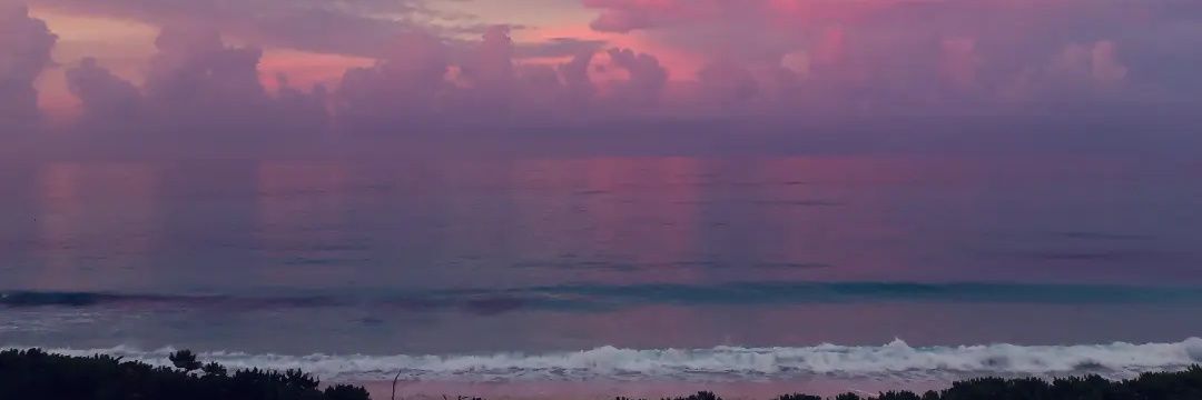 Catinina 🐰 banner