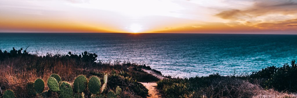 ThatRudyguy's profile banner image