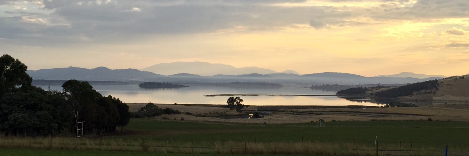 Kate Marshall, PhD banner