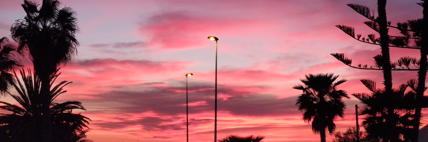 vicedo banner