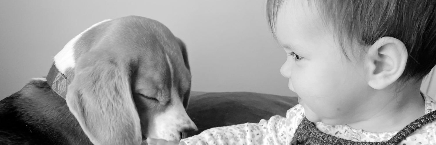paloma_posts's profile banner image