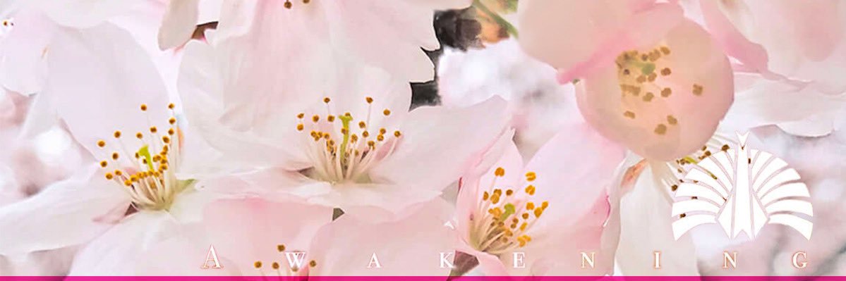 chissai_t's profile banner image