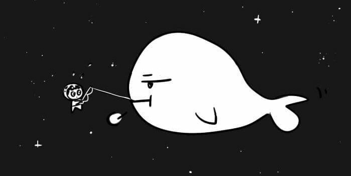 pluikung's profile banner image