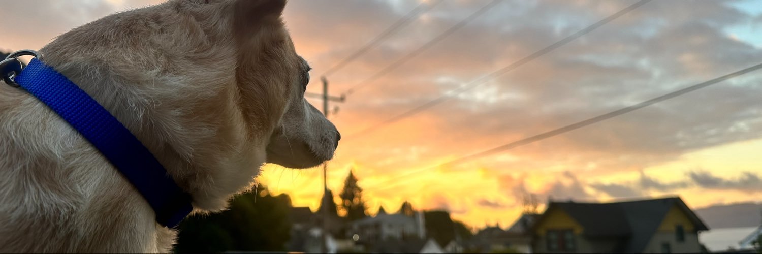 NathanVarner's profile banner image
