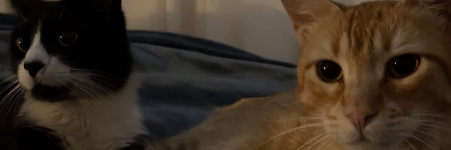___ampi's profile banner image