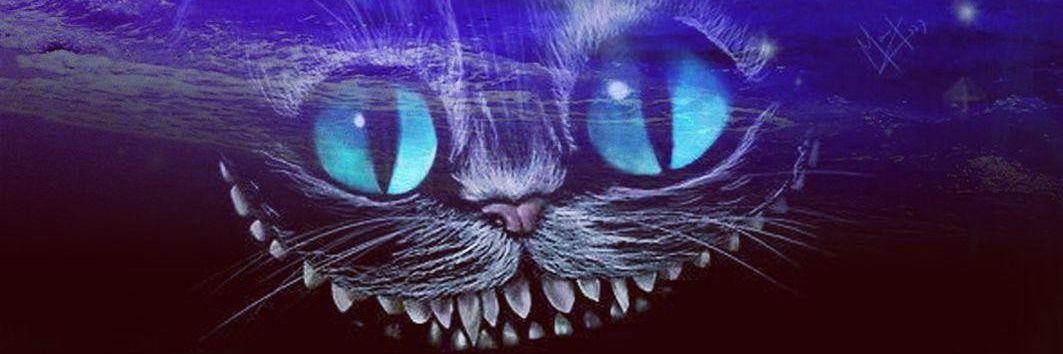 🐾ℂ𝟜𝕥𝕒𝕤𝕥𝕣𝕠𝕡𝕙𝕪🐾🐈 banner