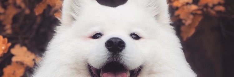 youREYESmeup's profile banner image