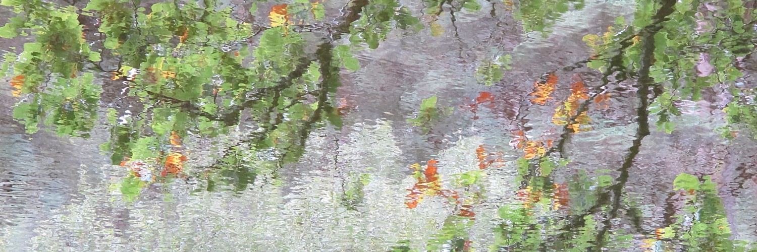 tonyhall's profile banner image