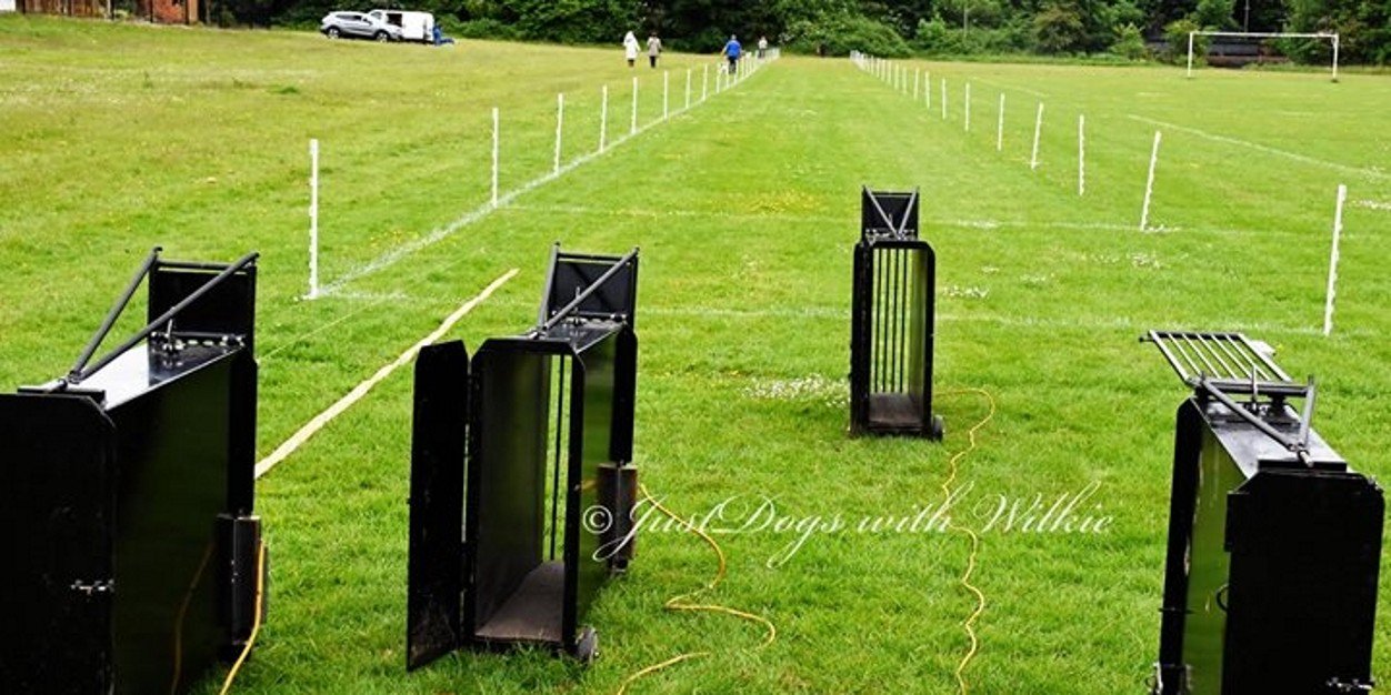 KilwinningWRC's profile banner image