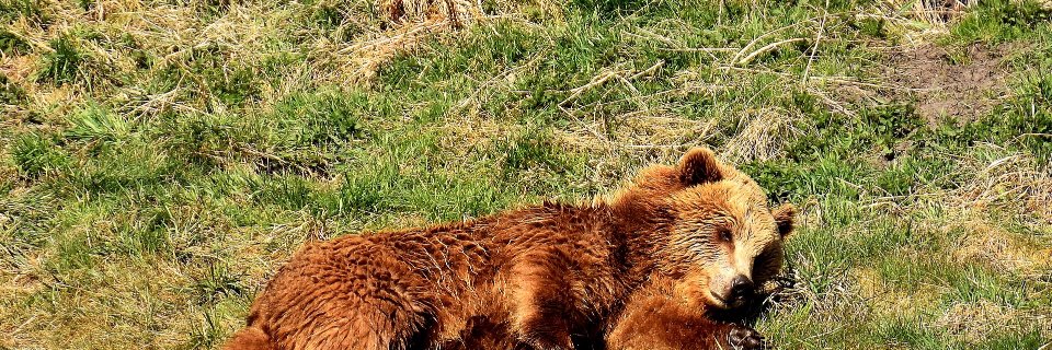 AndreK81's profile banner image
