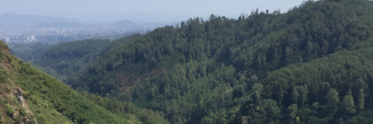 mithasiimithonk's profile banner image