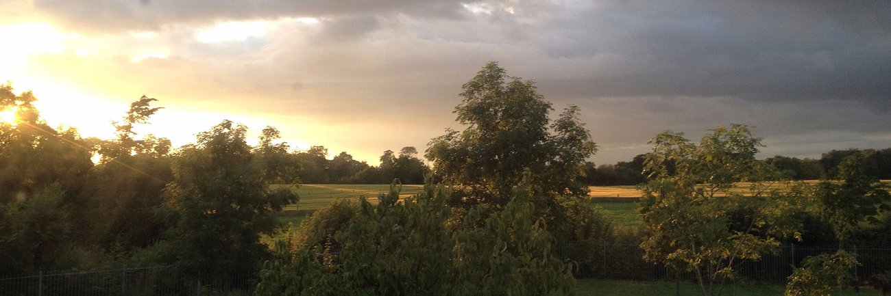 Anne Jennings banner