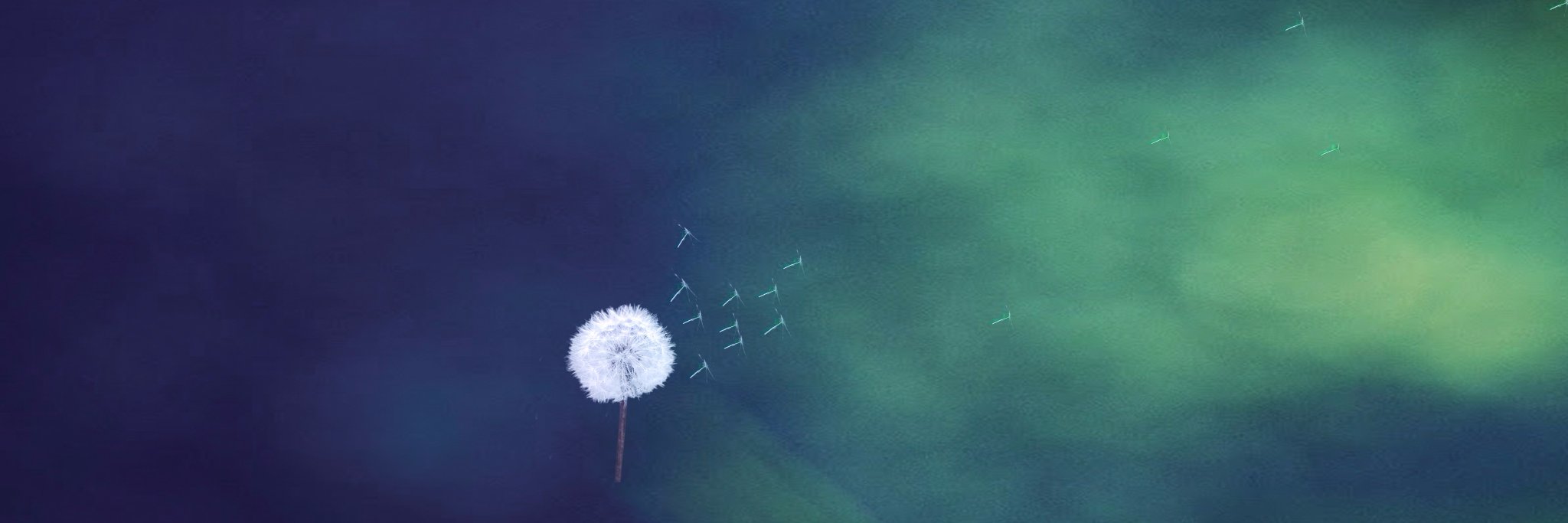 irenecasals's profile banner image