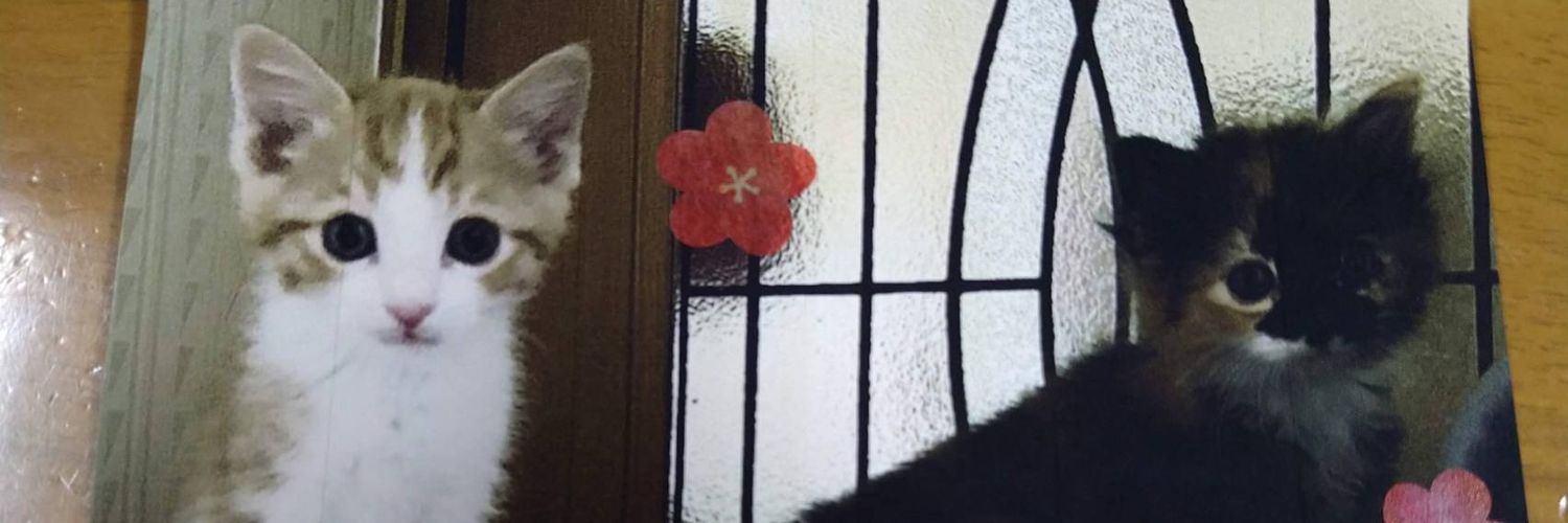 nutsora7's profile banner image