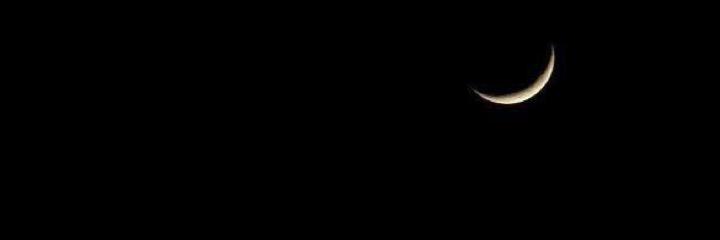 cancatin's profile banner image