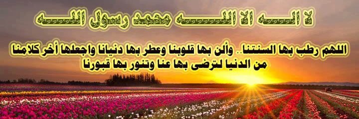 ma945533's profile banner image