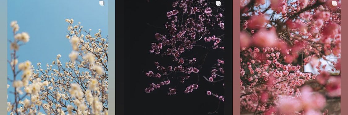 dthkd's profile banner image
