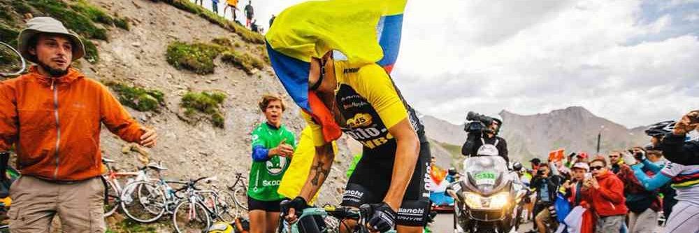 Rog the rhubarb banner