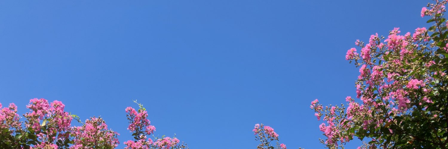 isano_s001's profile banner image