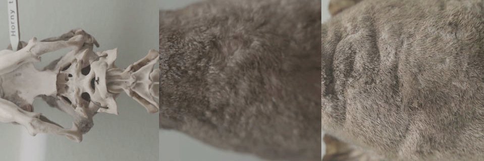 SuperlativeTV's profile banner image