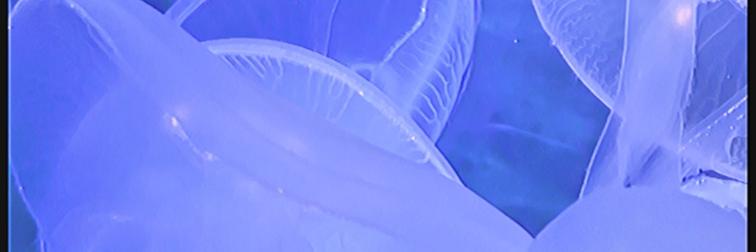 megude11's profile banner image