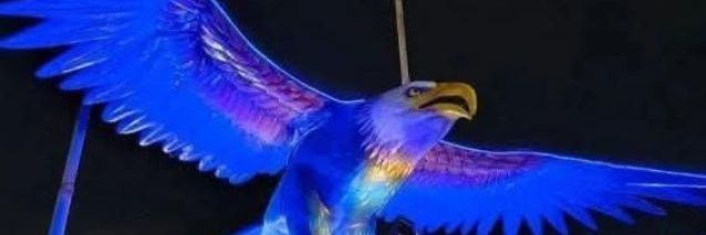Marcia Fera Portelense banner