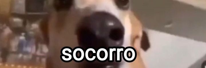 laysaxavierf's profile banner image