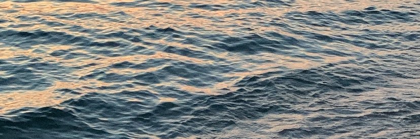 ̆̈ banner