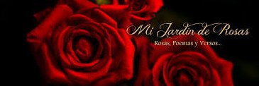 Magdalena Santiago banner
