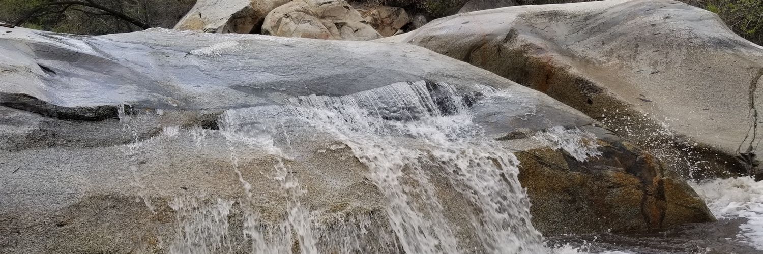 MyRosebud143's profile banner image