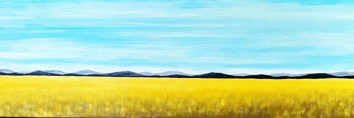 Matthew Tokson banner