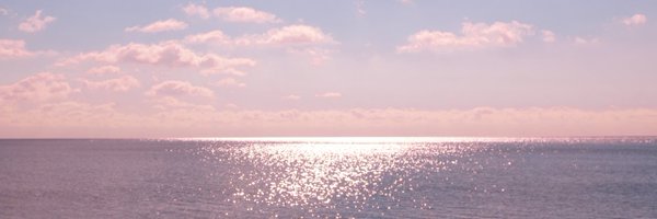 lady_intokyo Profile Banner
