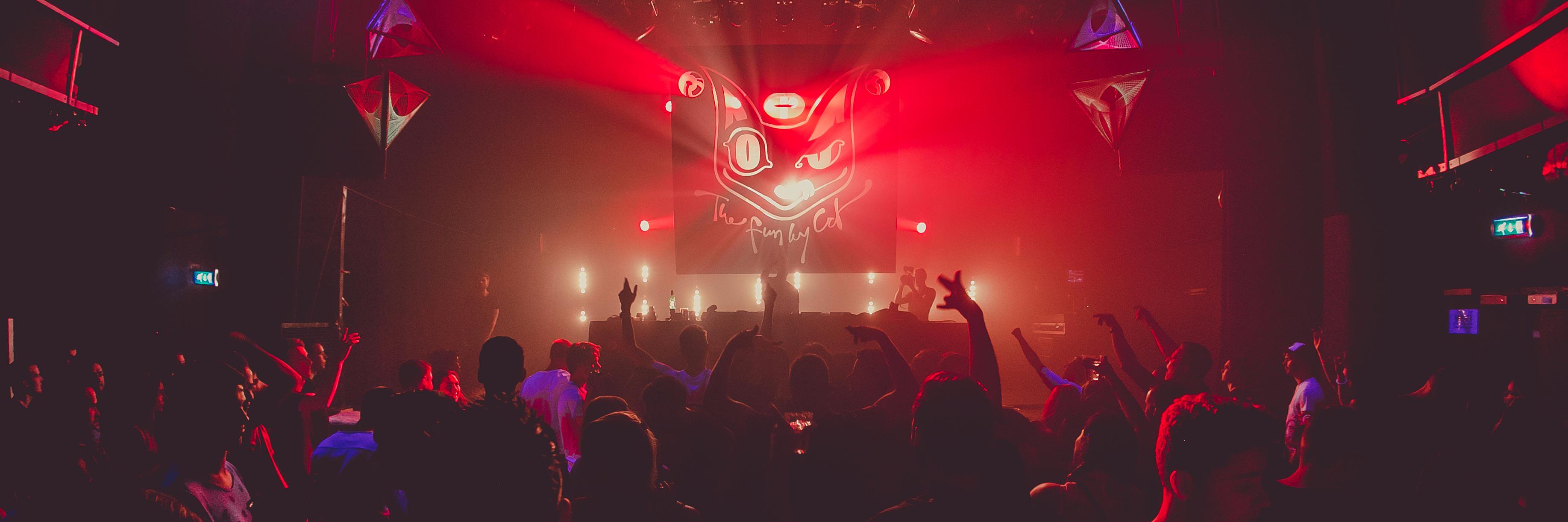 The Funky Cat banner