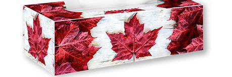 🇨🇦Tell The Truth 🇨🇦 banner