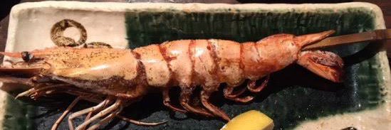 牧野 渓大 banner