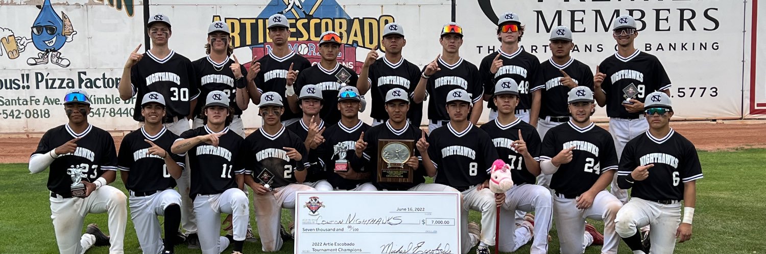 Colton Nighthawks banner