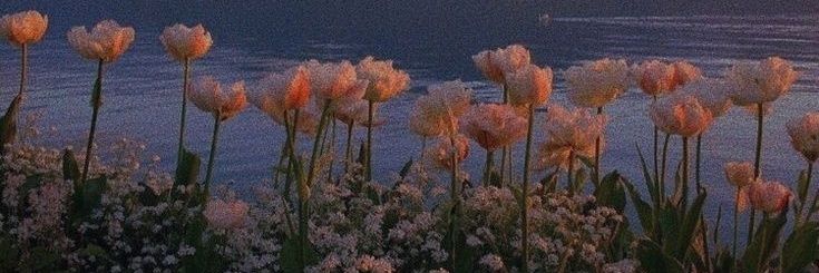 IvyJaneeee's profile banner image
